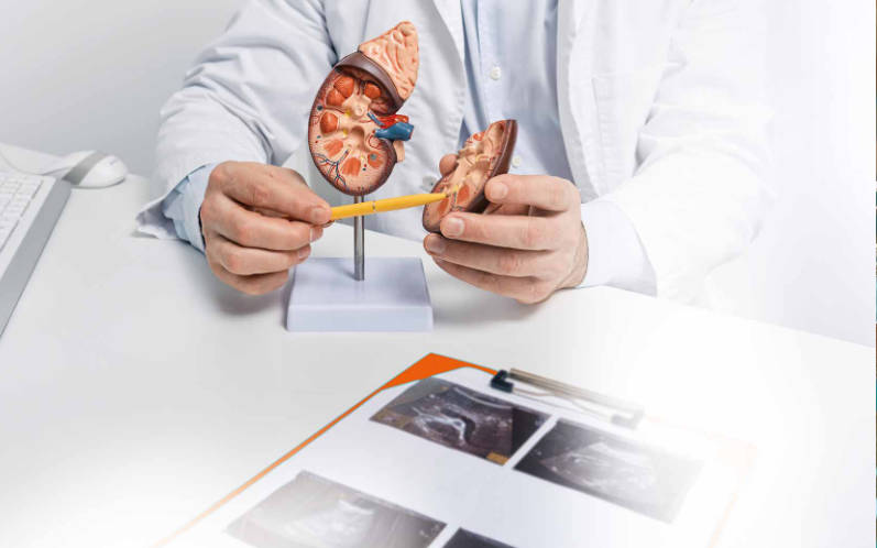 La prevenzione delle malattie urologiche