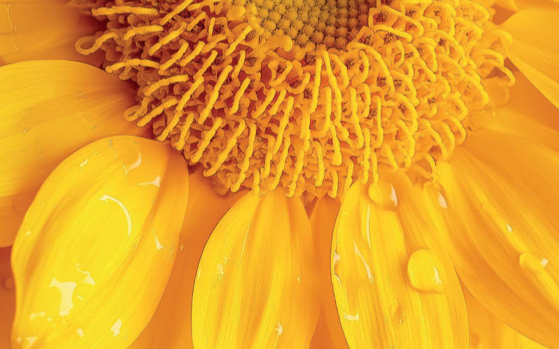 Pillole di salute - Ottobre 2025