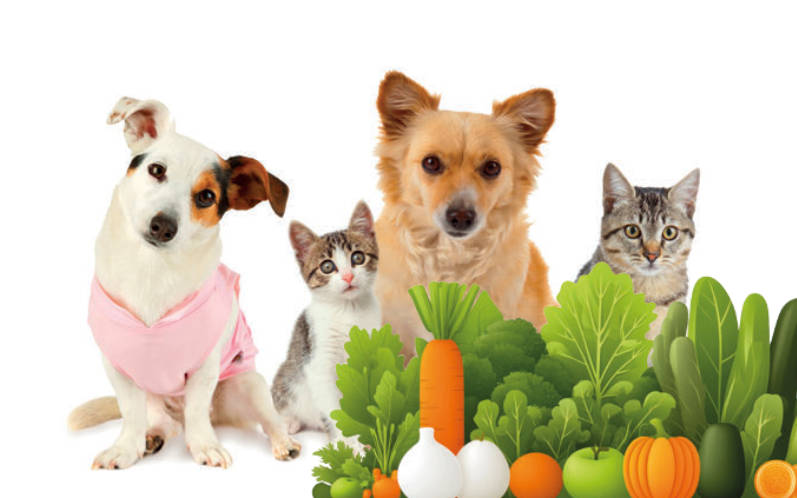 Frutta e verdura fanno bene ai nostri cani e gatti?